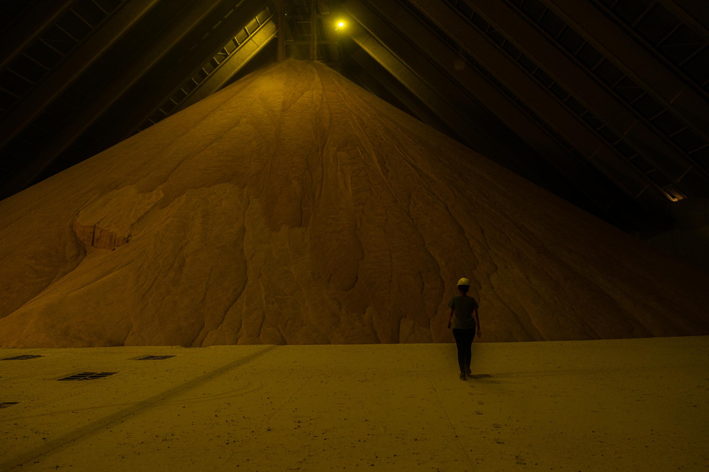 Argentine soybeans - Mountains of soy flour in the warehouses at a Molinos...