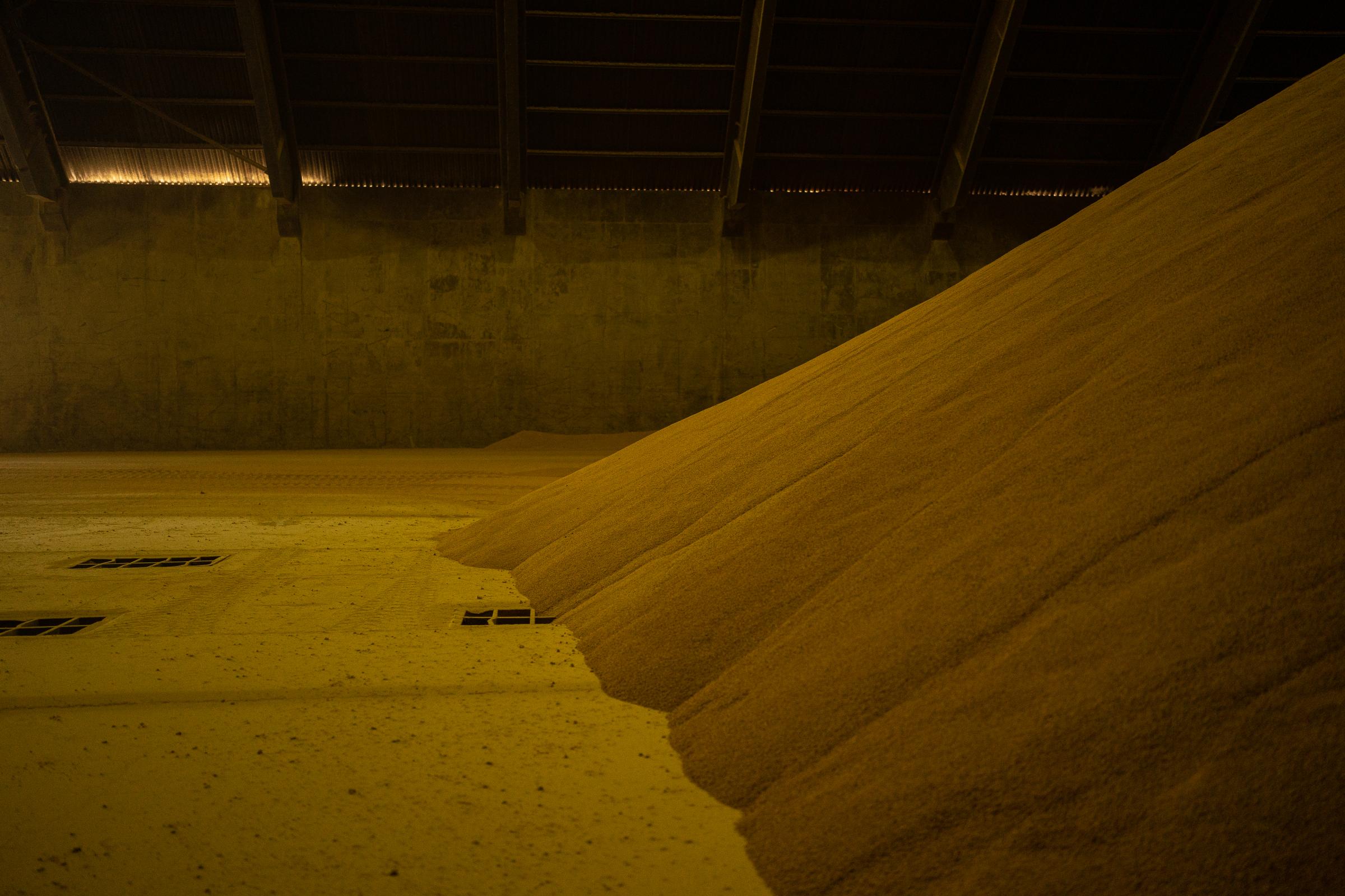 Argentine soybeans - Mountains of soy flour in the warehouses at a Molinos...