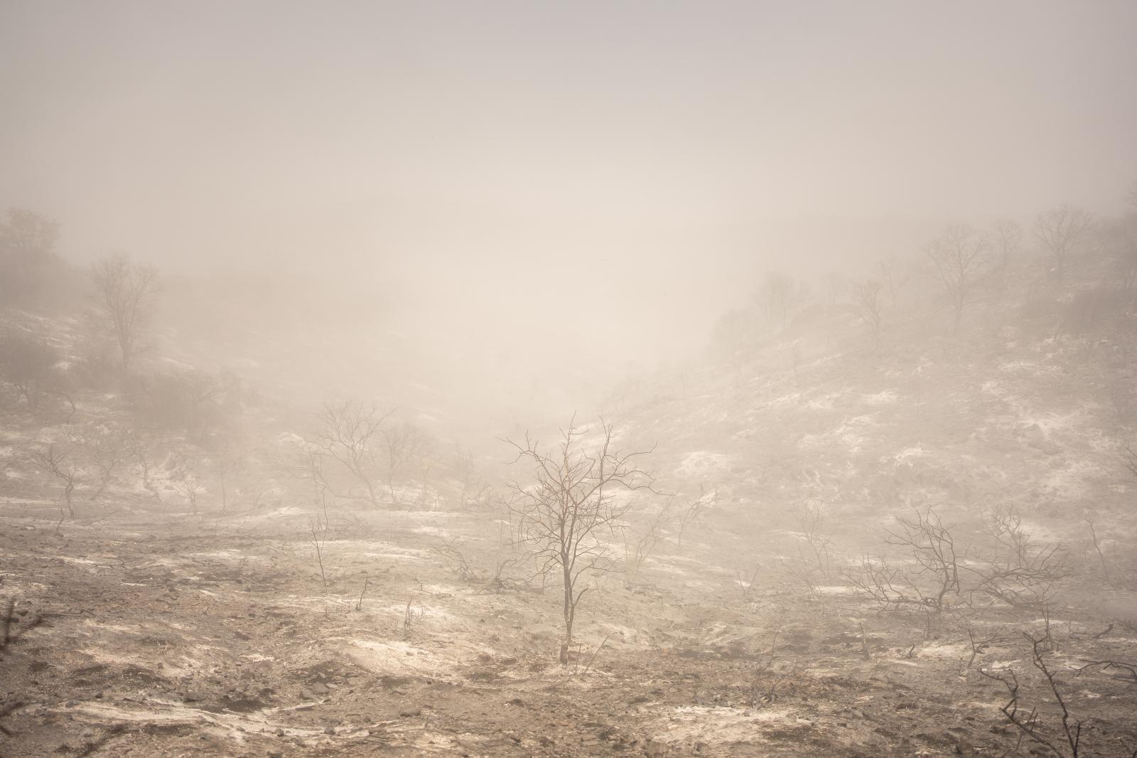 El paisaje desolador envuelto e...an Marcos, Córdoba, Argentina. 