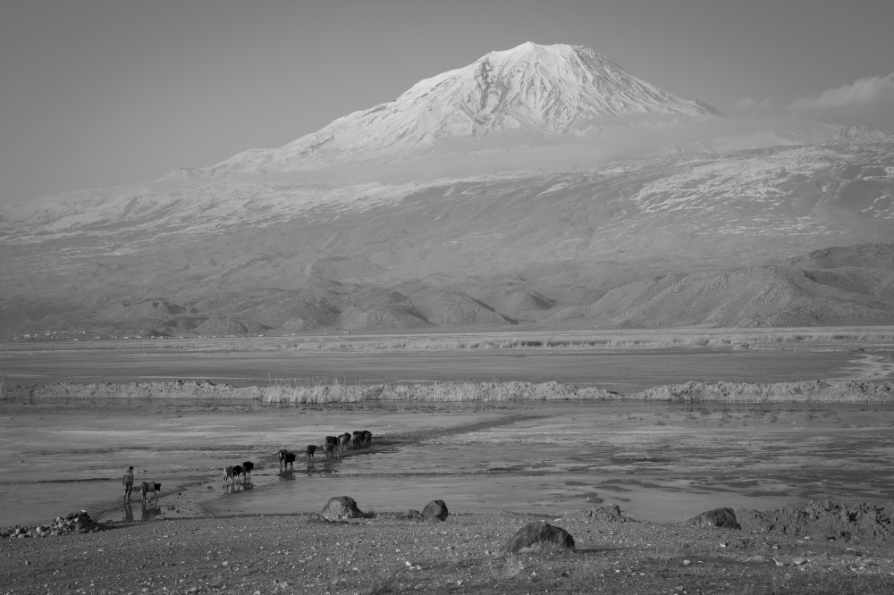 At the Foot of Mt. Ararat
