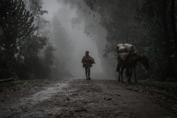 Amanuel Sileshi | Searching for Peace Amidst Chaos - A boy walks through mist near the village of Chenna, 95...