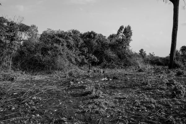Image from Gordwin Odhiambo | A Changing Community and the Fears Ahead -  A cleared space inside Ngong Forest in Nairobi, Kenya....