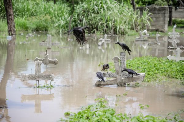 Image from Ericky Boniphace | Even The Dead can't Escape Climate Change -  Crows sit on top of graves flooded by water from the...