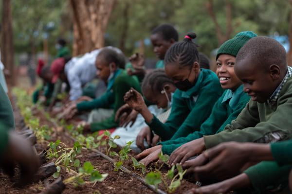 Image from Derrick Milimo - Kirangari Primary School students planting strawberry...