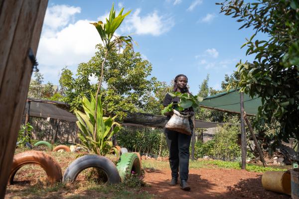 Image from Derrick Milimo - Joan Njoki carrying a tree seedling from Miti Alliance in...