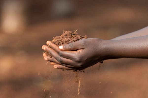 Image from Derrick Milimo - Joan Njoki hands holding soil. Kiambu county Kenya. July...