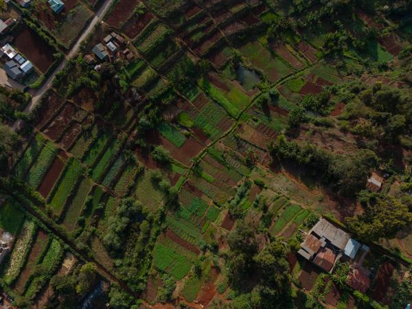 Image from Derrick Milimo - Aerial view of farms along a stream in Kirangaru Wangige...