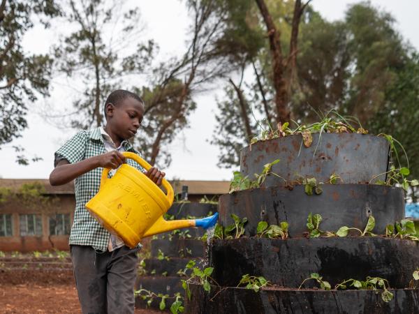 Image from Derrick Milimo - Students of Kirangari primary school planting vertical...