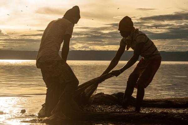 Image from Vanessa Mulondo | The Fishermen's Tale -   