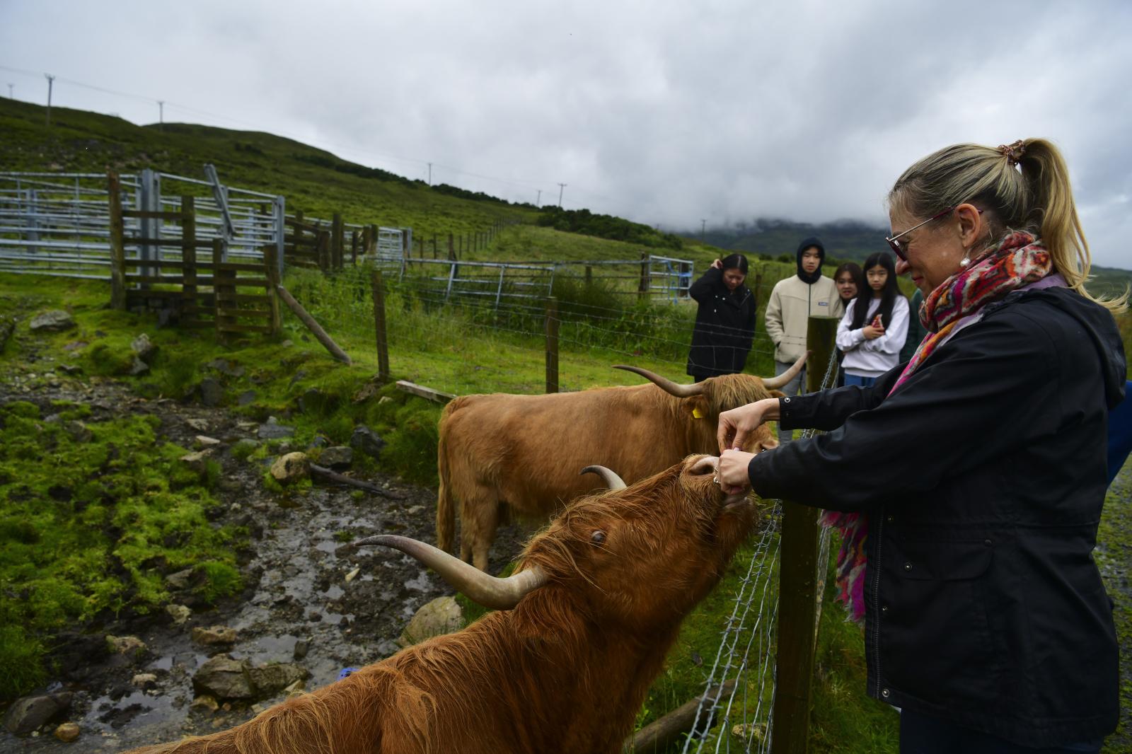 Image from Daily Life UK - Isle of Skye, West coast of Scotland and that's Harry...
