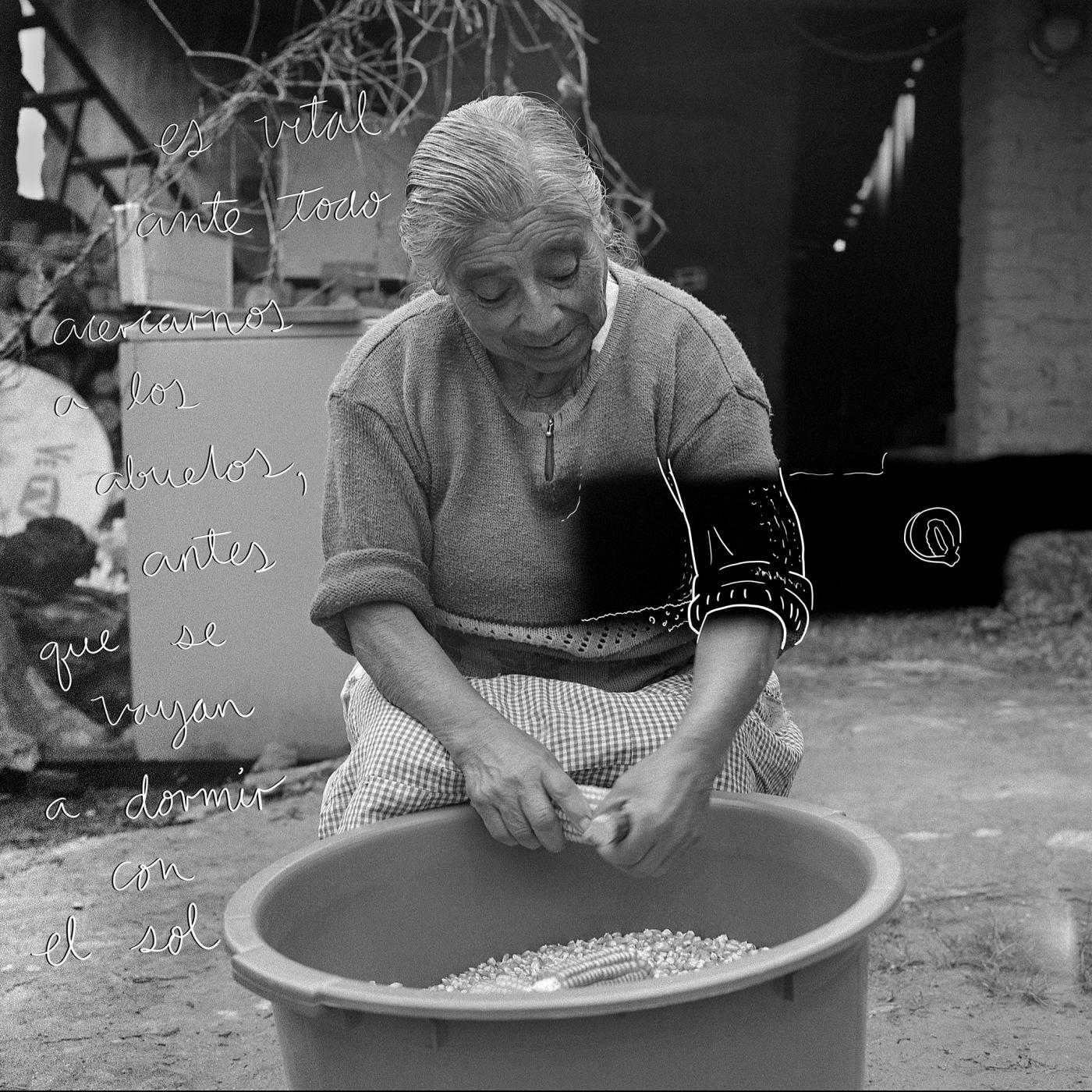 Maíz, fuente de vida