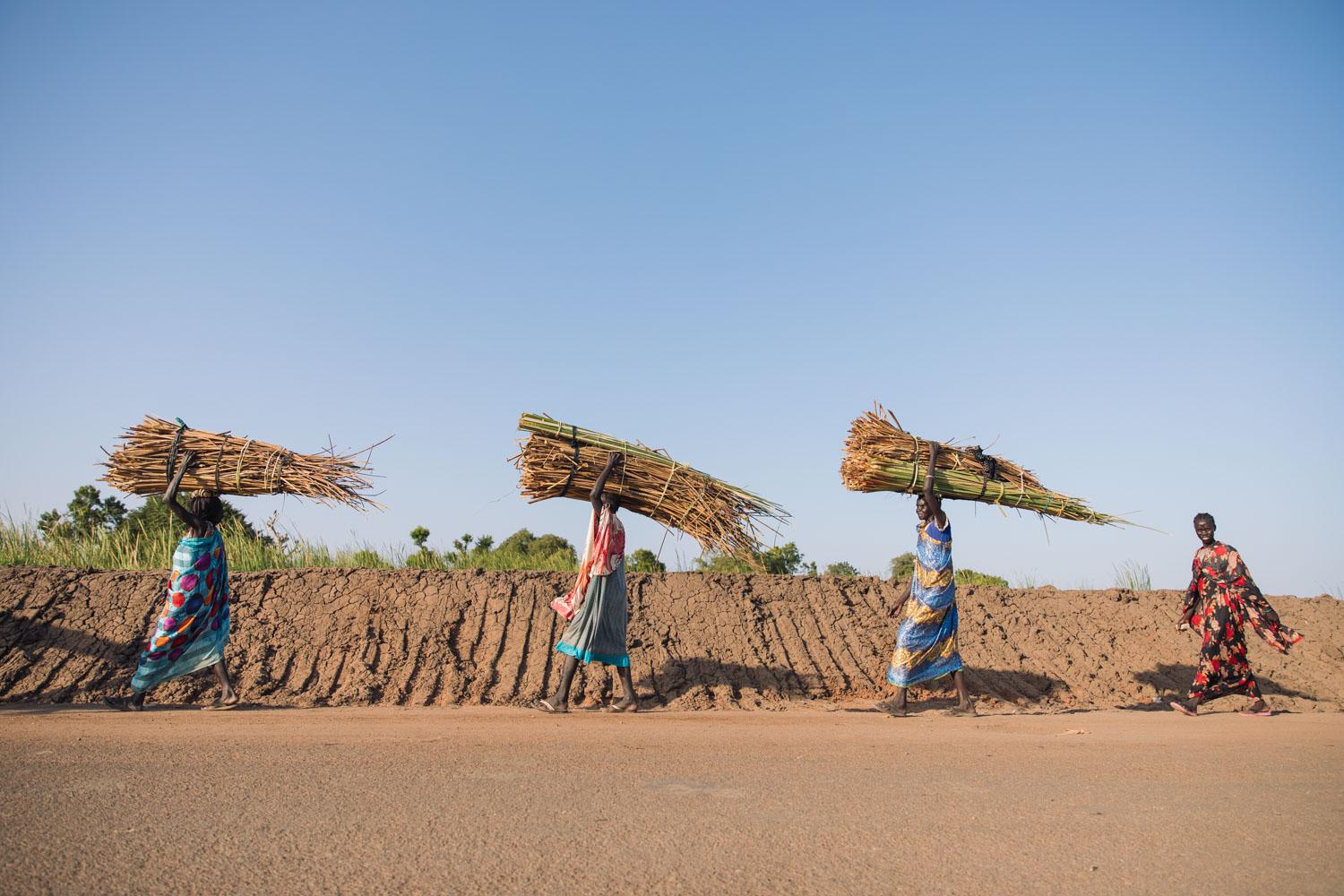 UNOCHA - Women walk past a dyke carrying dry papyrus reeds on...