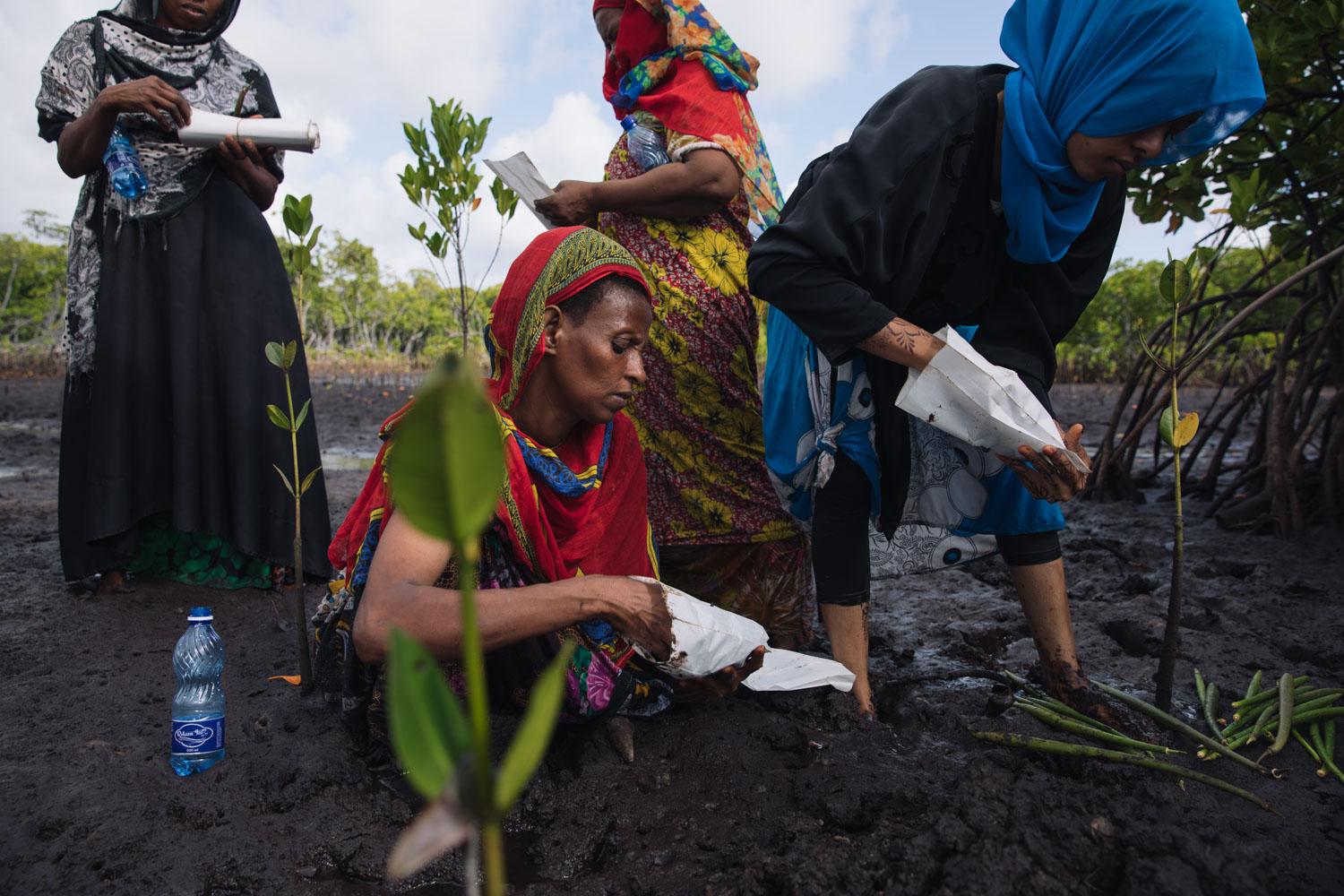 The Nature Conservancy - The women stuff the nursery bags with mud in preparation...