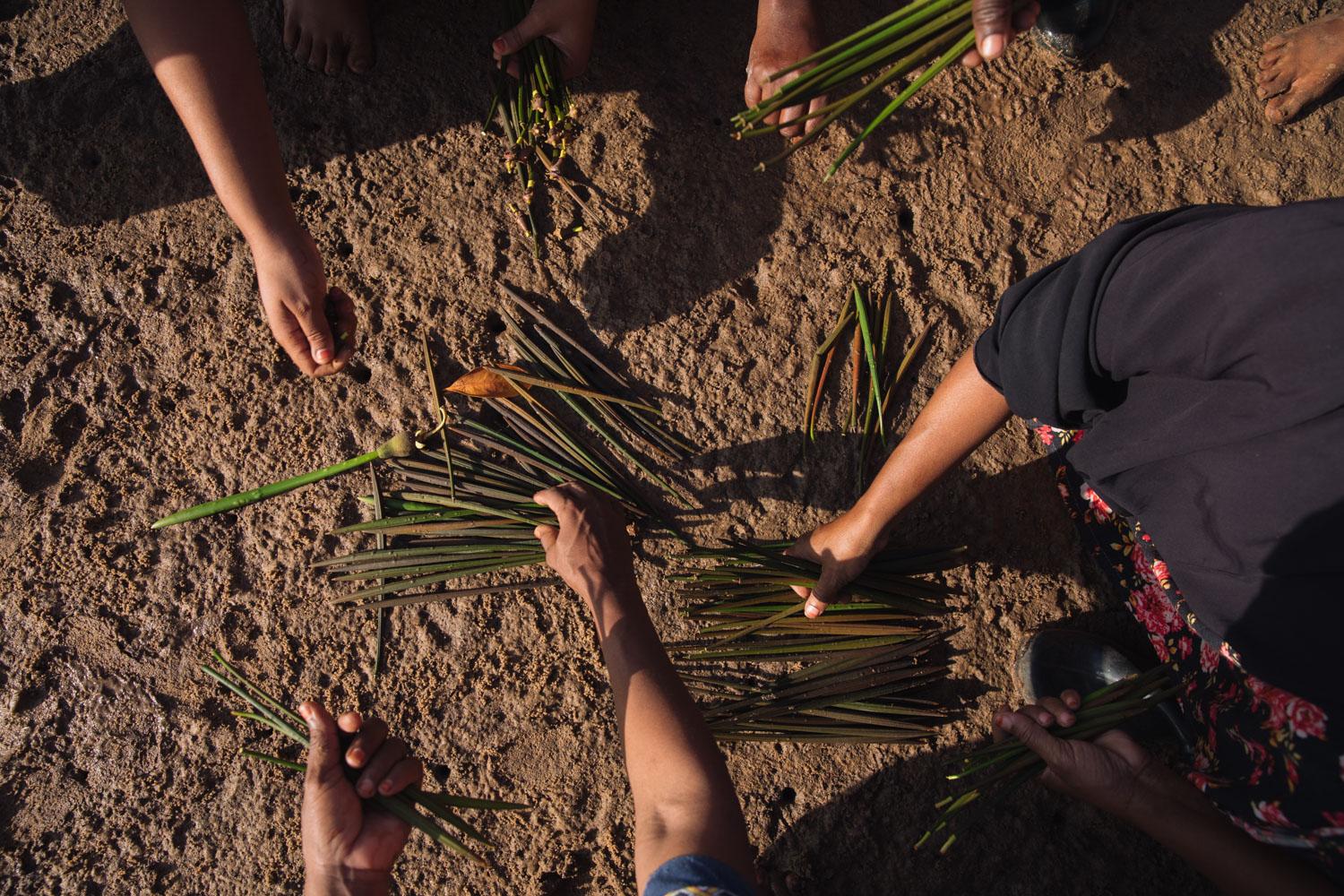 The Nature Conservancy - The women sort through the propagules they have collected...