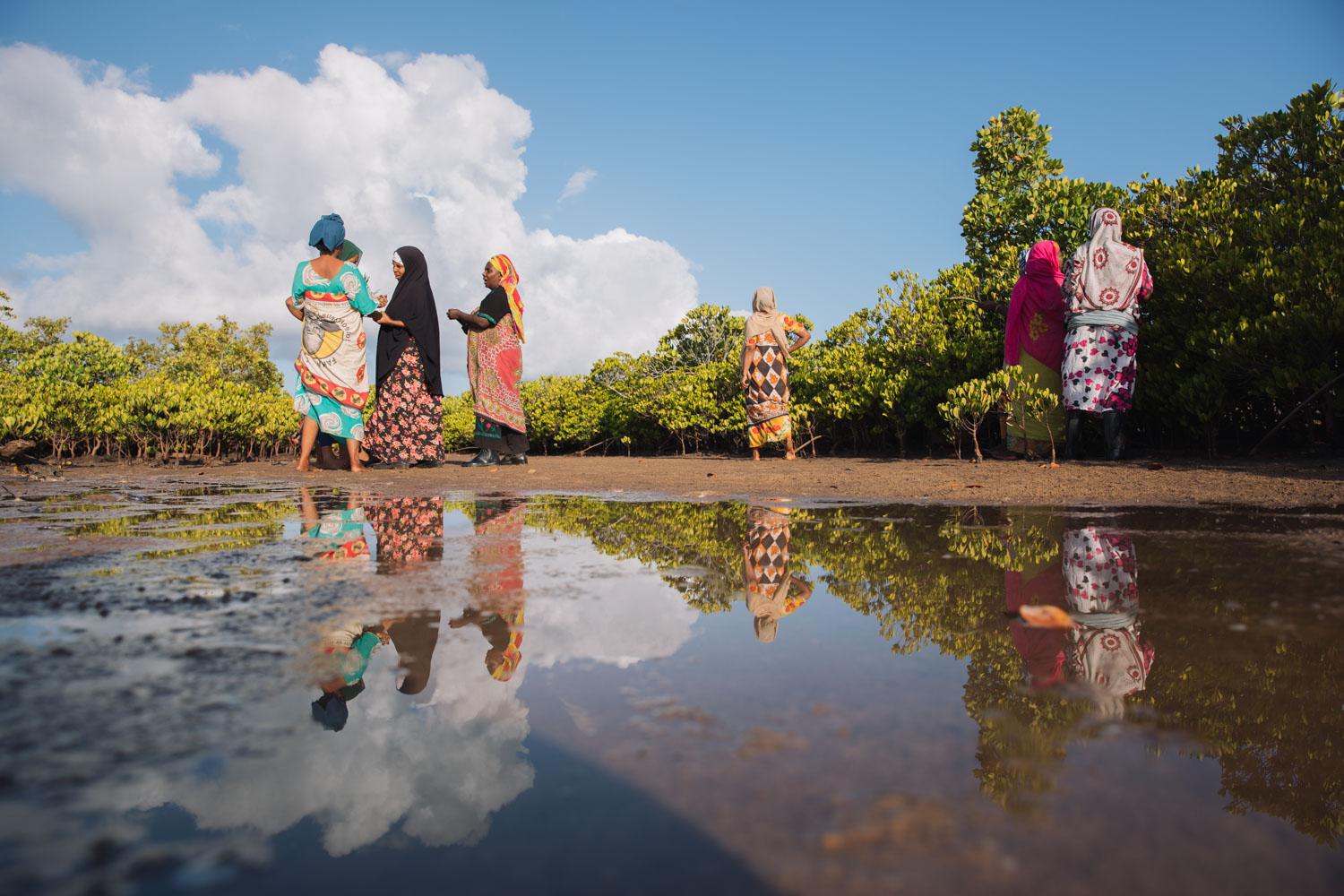 The women look for propagules from the mangrove trees at the Mangrove restoration site in Mtangawanda, Lamu, while others chat. Lamu Kenya