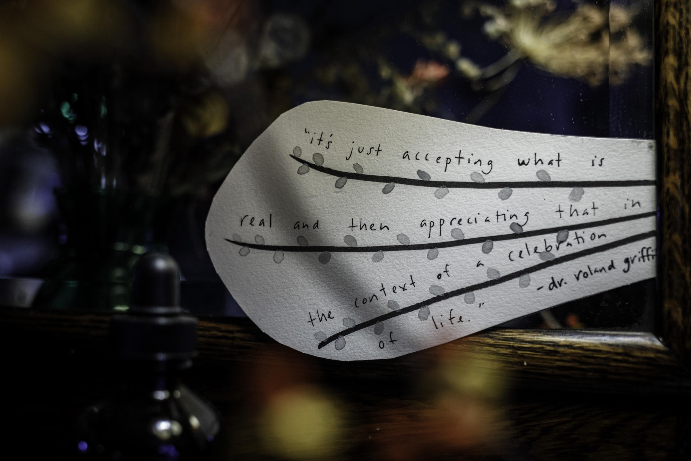 Stubborn Joy: On Death, Dying & Belonging - 