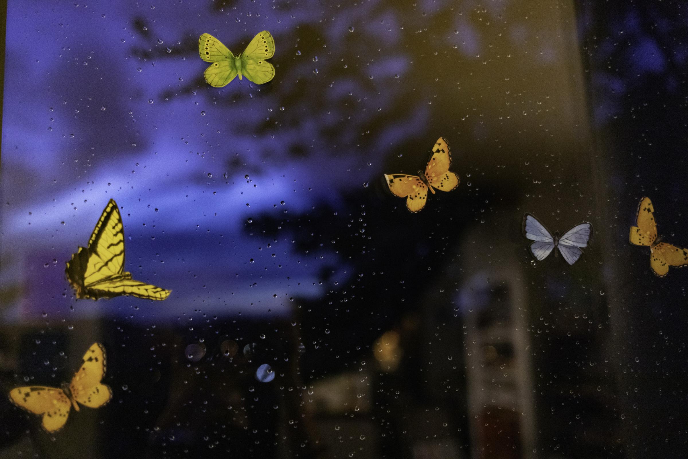 Stubborn Joy: On Death, Dying & Belonging