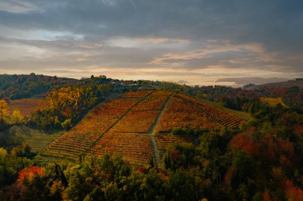 Image from Visit Langhe