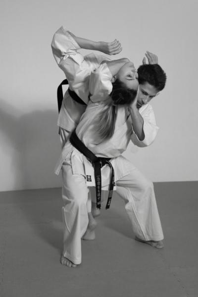 Image from Karate Kokorozashi -   