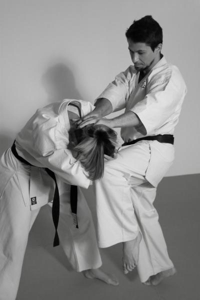 Image from Karate Kokorozashi -   