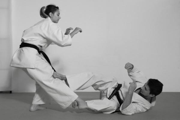 Karate Kokorozashi -   