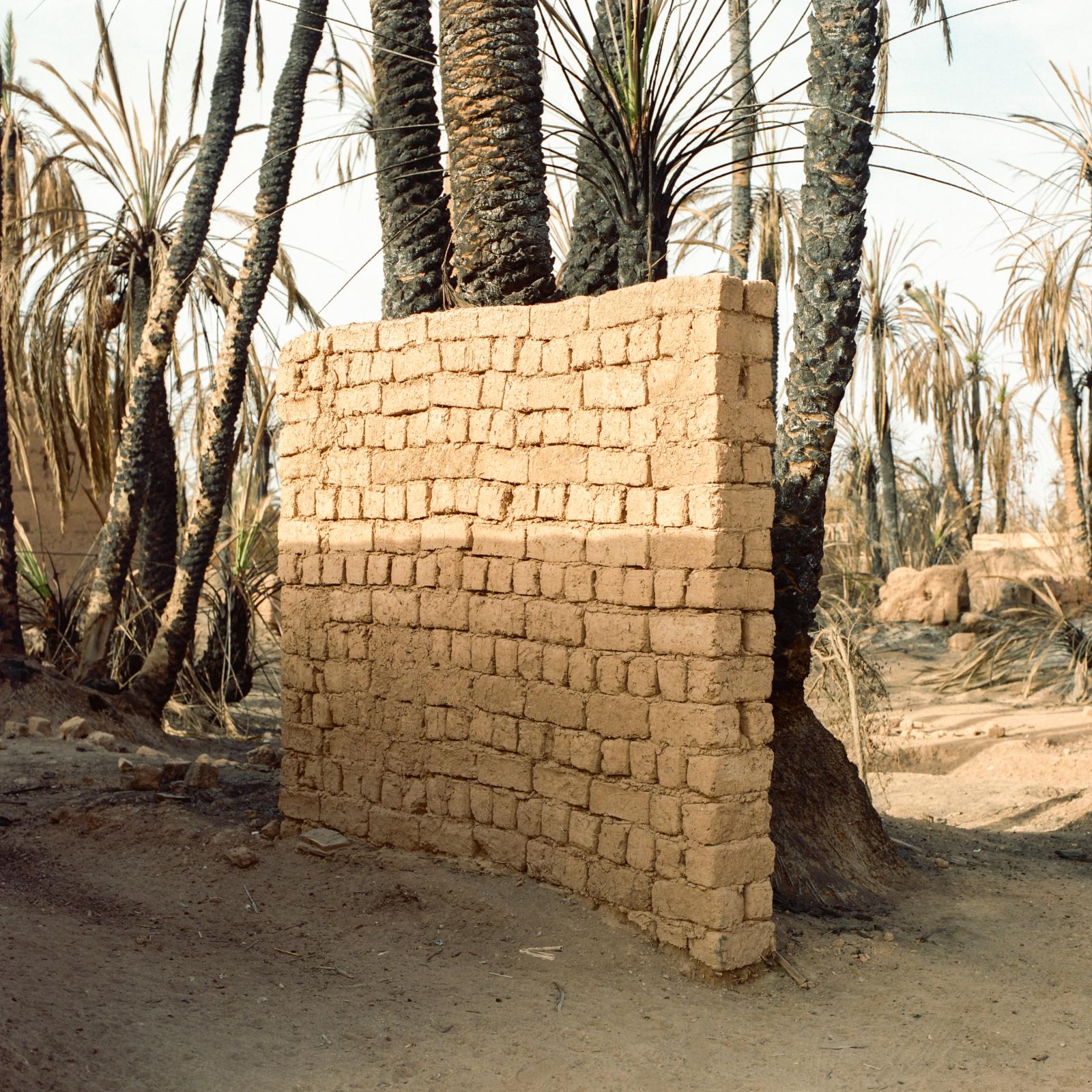 Before it's gone - ongoing - Oasis of Tighmert, Morocco, in August 2020. The pisé...