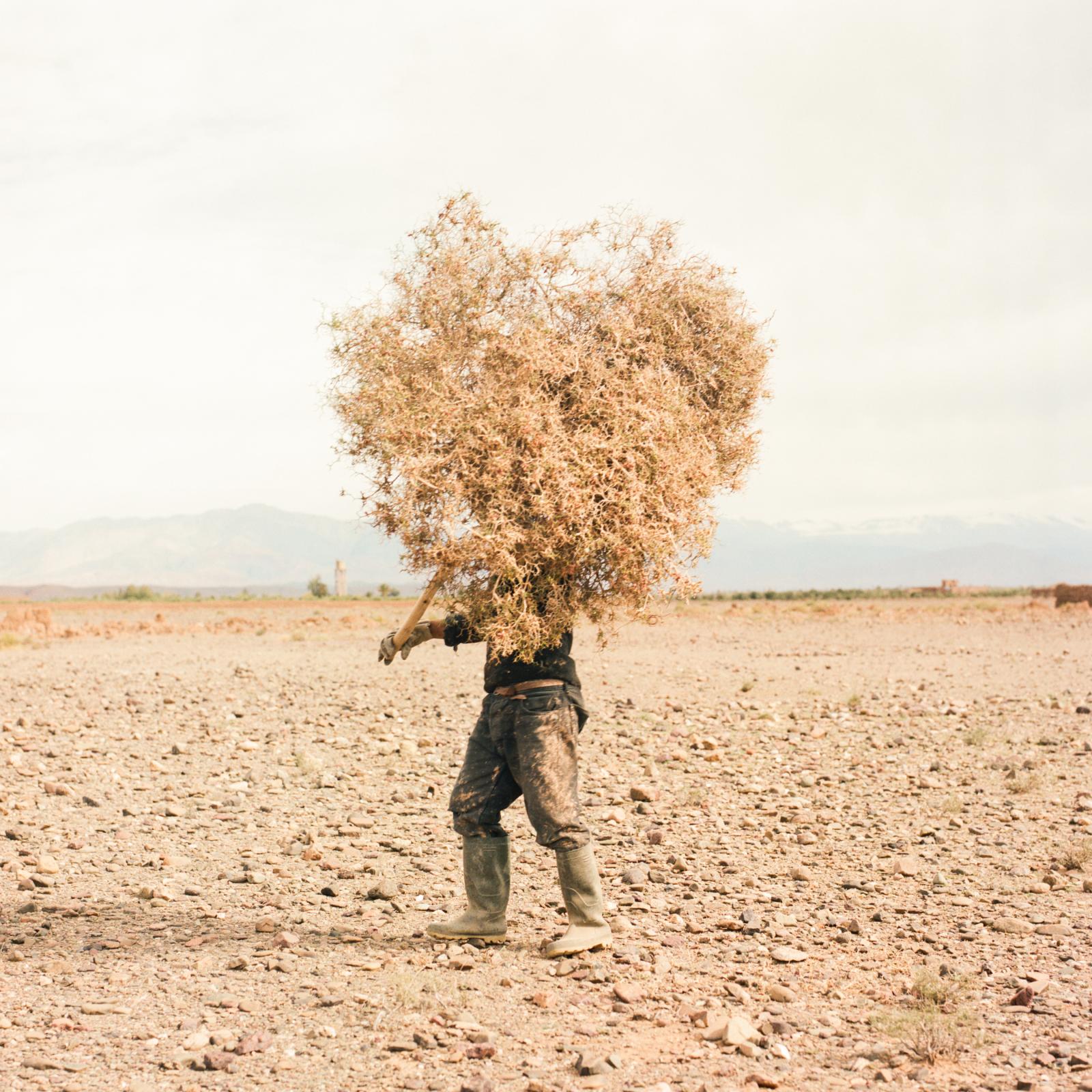 Before it's gone - ongoing - Mohammed in Skoura oasis, Morocco, in April 2022. Every...