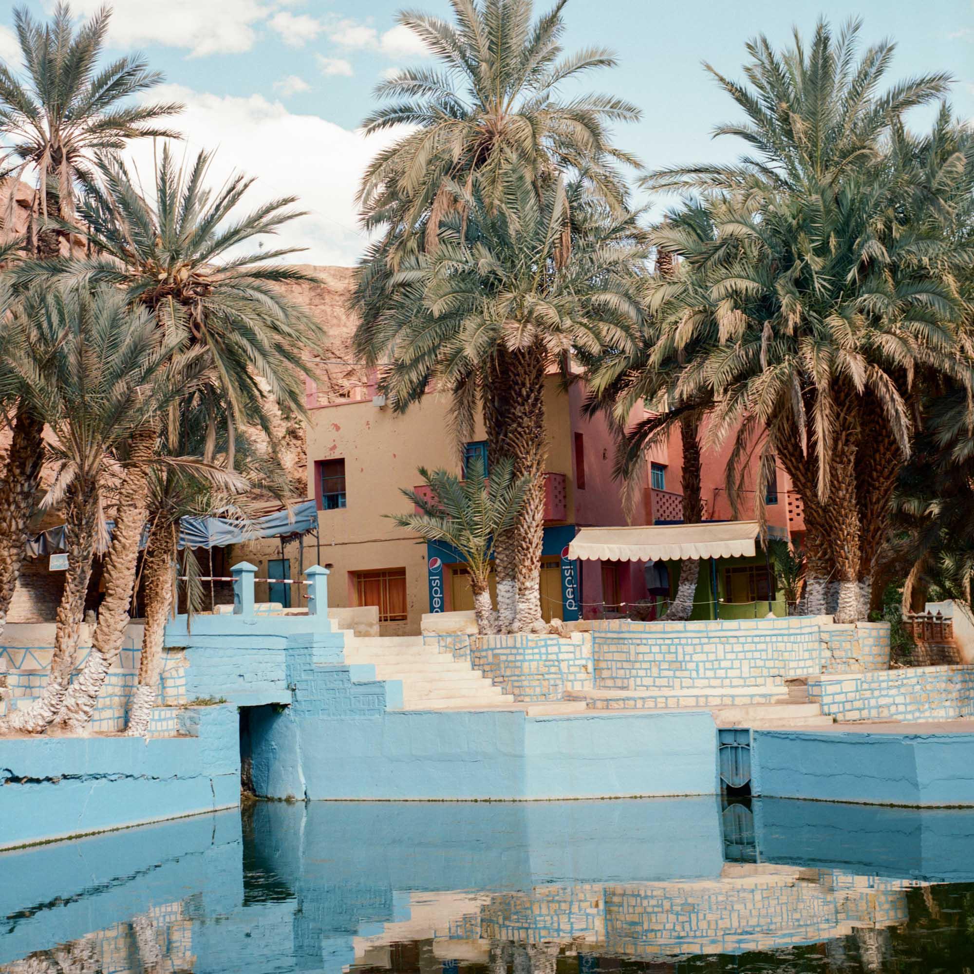 Before it's gone  - Oasis of Meski, Morocco, in April 2022.  