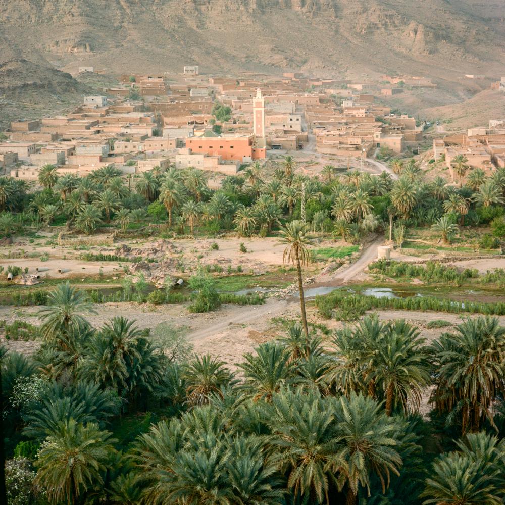 View of Fint oasis, showing the..., the river and the palm grove 