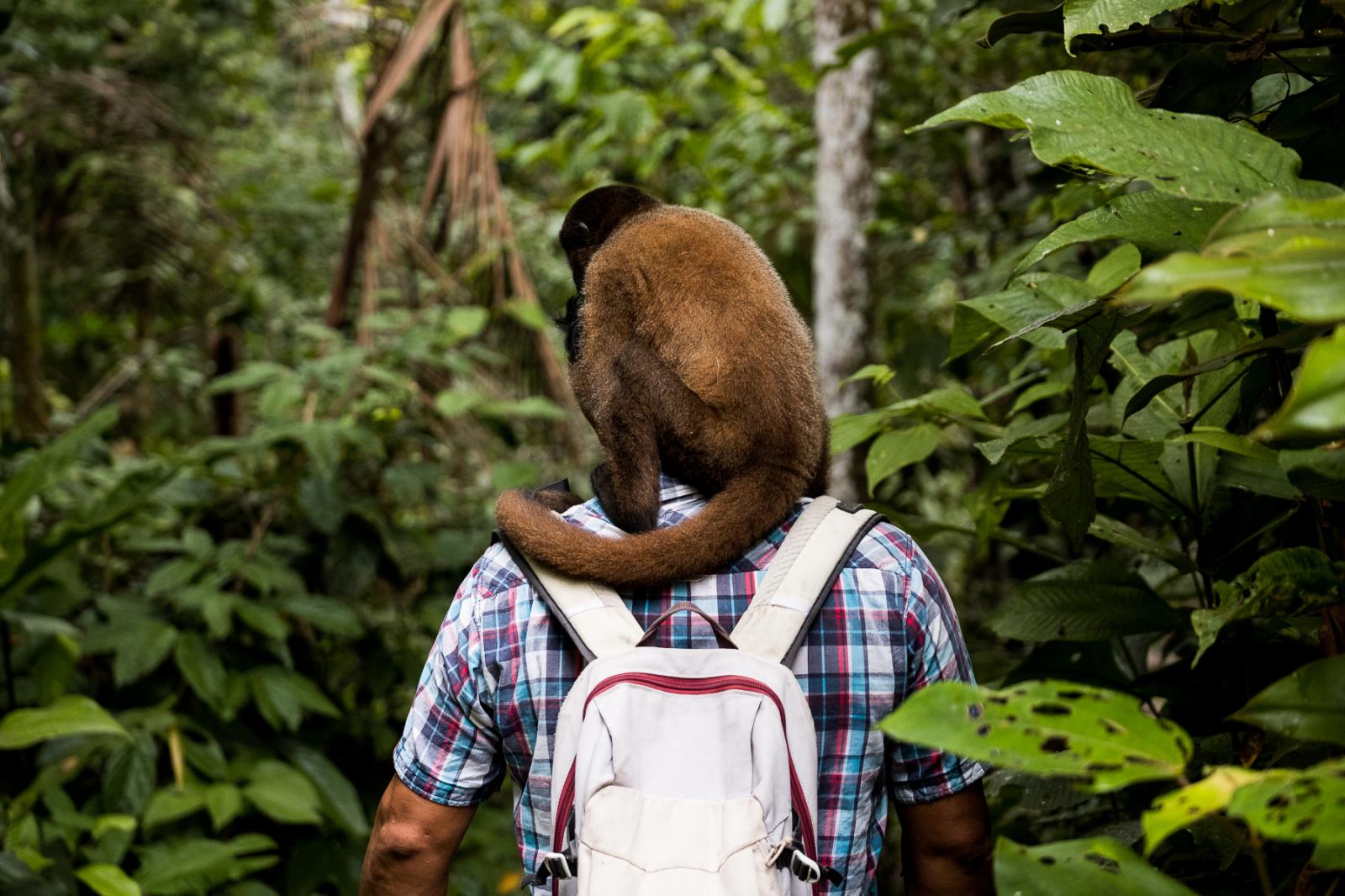 Guardianas - Amazonas: Saving Hunted Primates - 