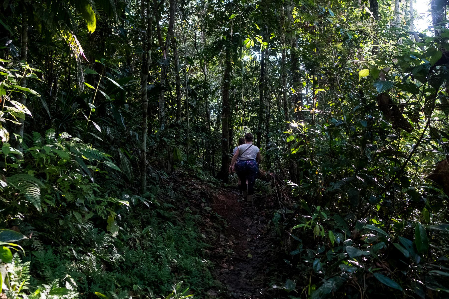 Guardianas - Amazonas: Saving Hunted Primates