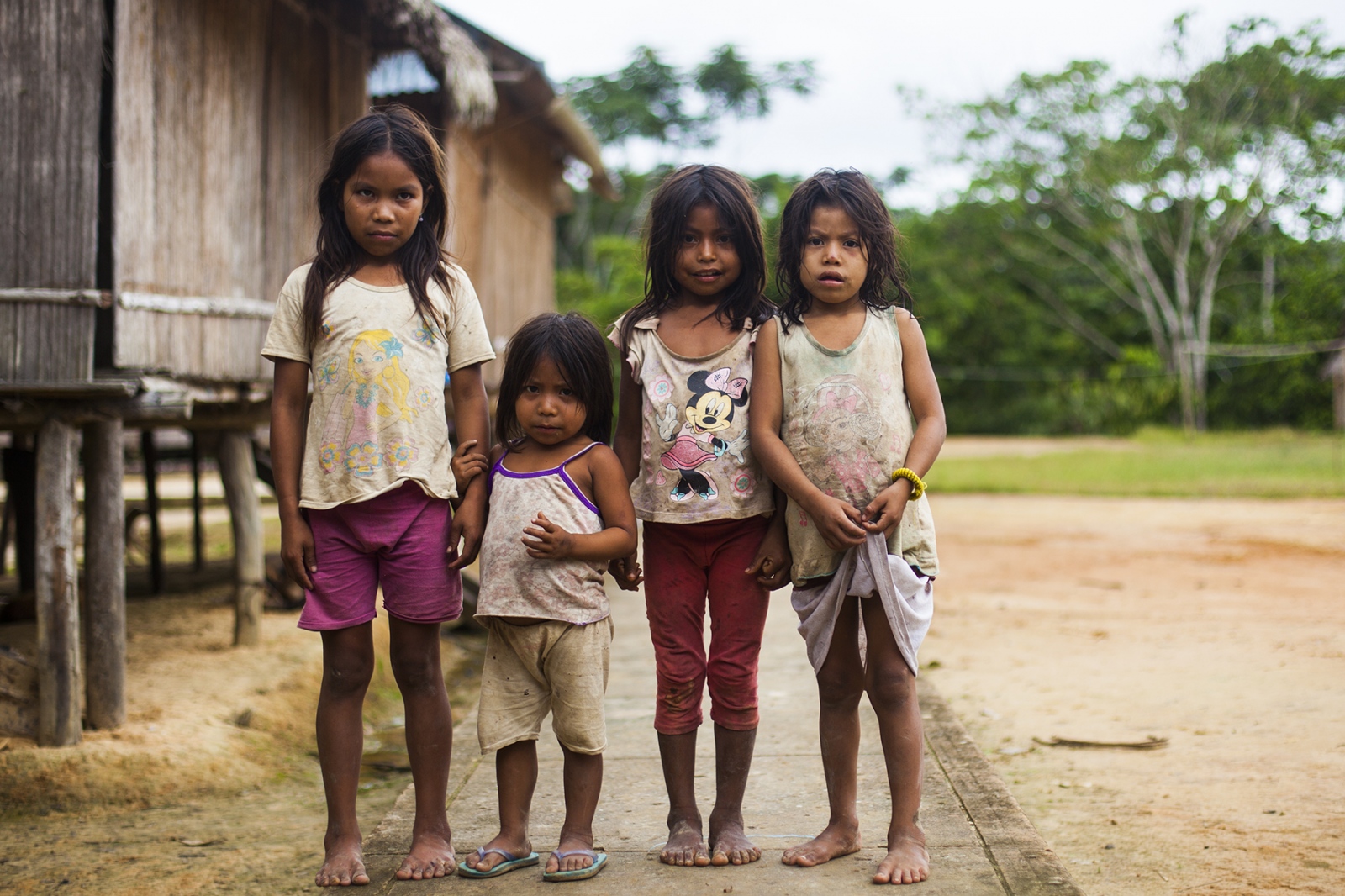 The Matses -  Matsés girls in the village of Santa Rosa. 