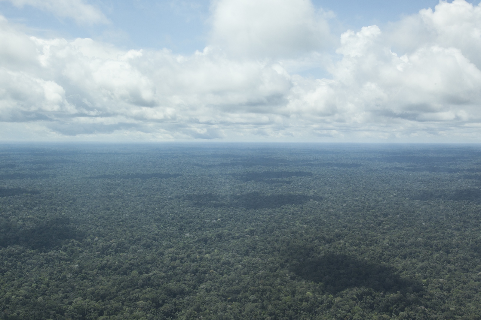 The Matses -  Rainforest area where uncontacted indians have been...