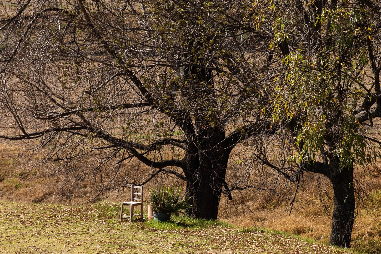 Lonely chair. | Buy this image