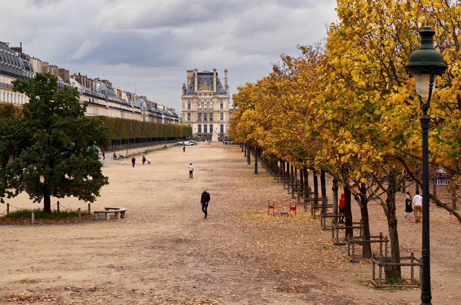 Autumn in Le Jardin des Tuileries in Paris | Buy this image