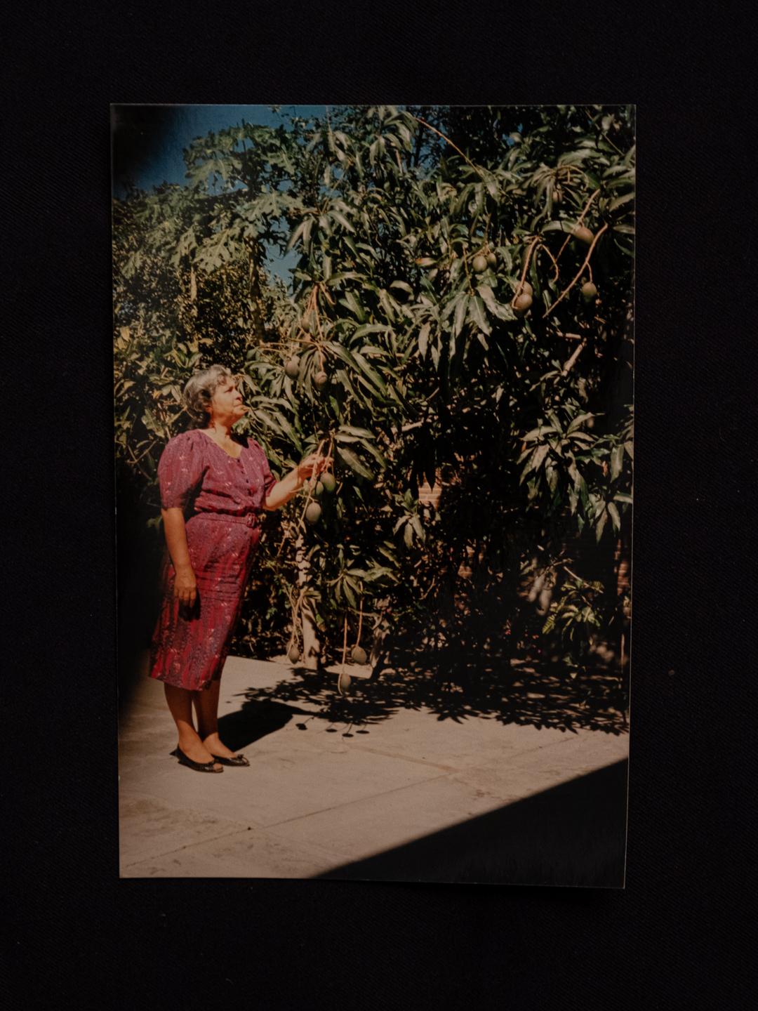 Bishé - Photo of Magda with the mango tree Magda planted this...