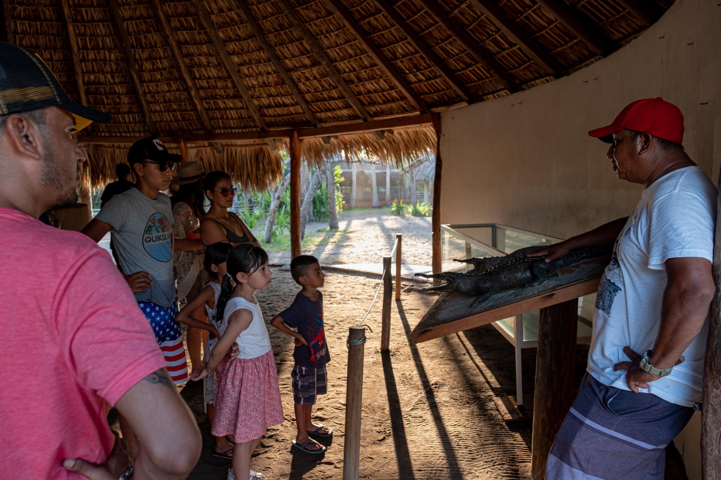 La Ventanilla: A window to coexisting with Crocodiles  - Environmental educations has become key for the project being developed at La Ventanilla by the...