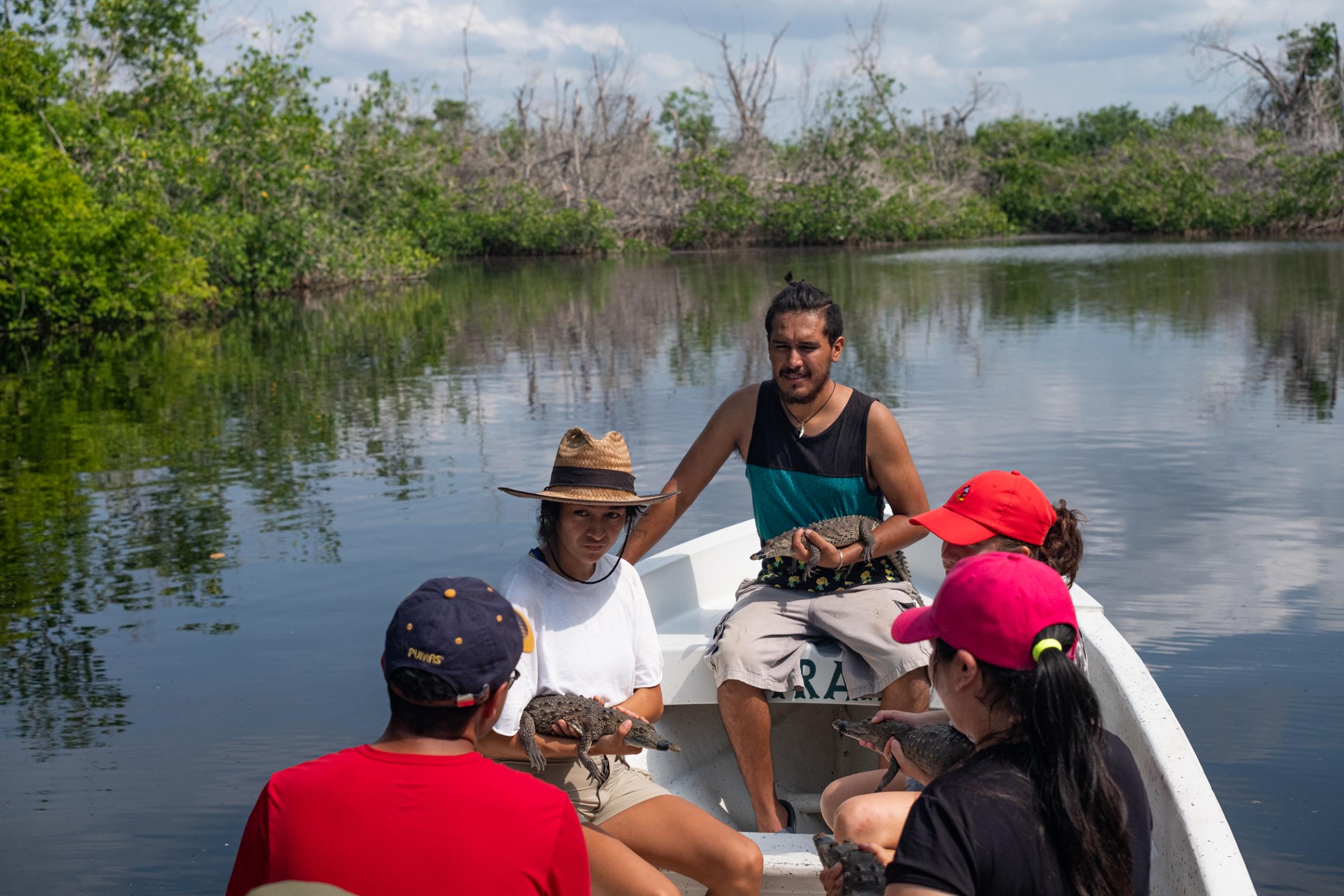 La Ventanilla: A window to coexisting with Crocodiles  - Volunteers on their way to release crocodiles in La ventanilla lagoon. For the release they look...