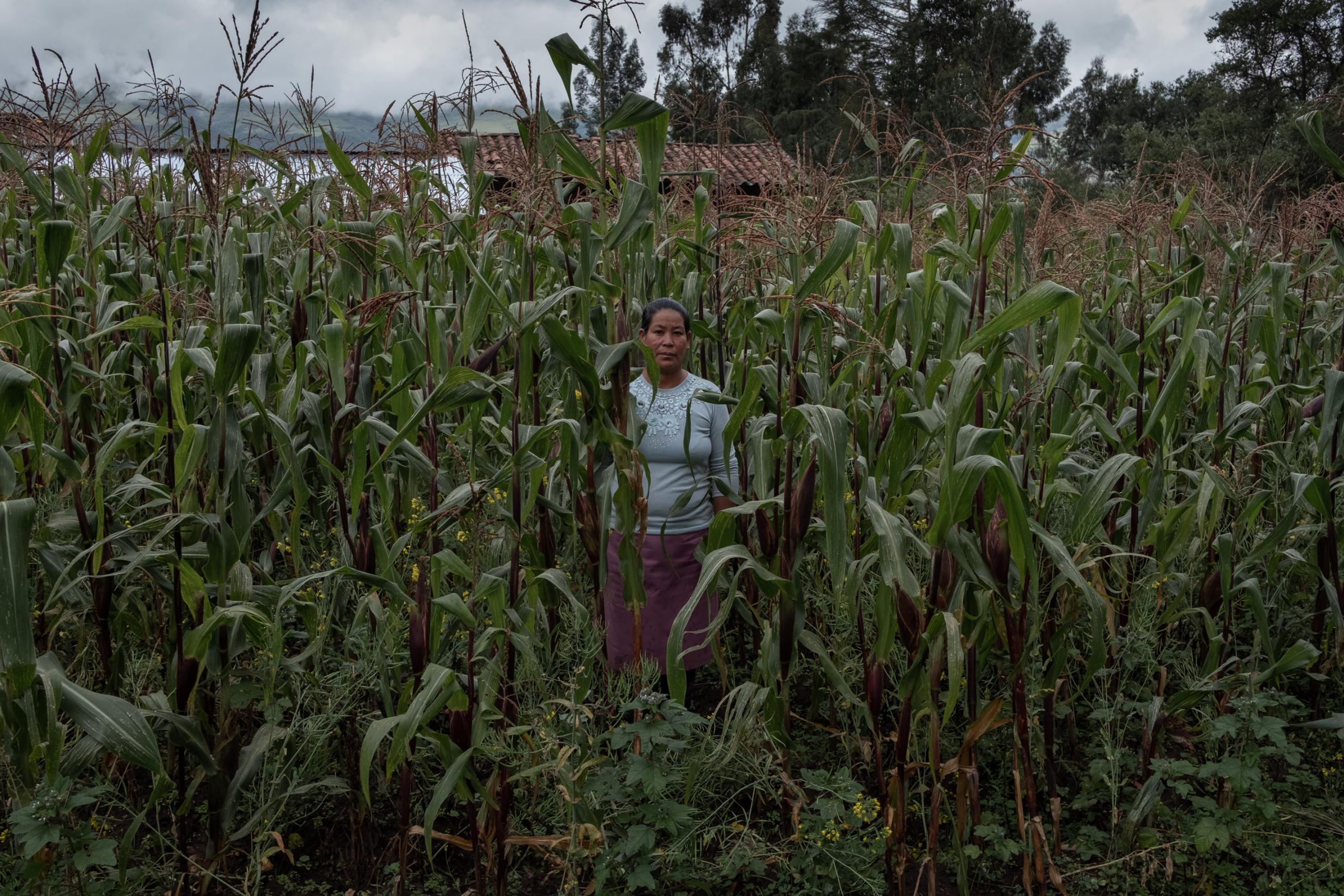 Forced Sterilizations - Ancahuasi community, Cusco, Peru, 2021. Aurelia, an...