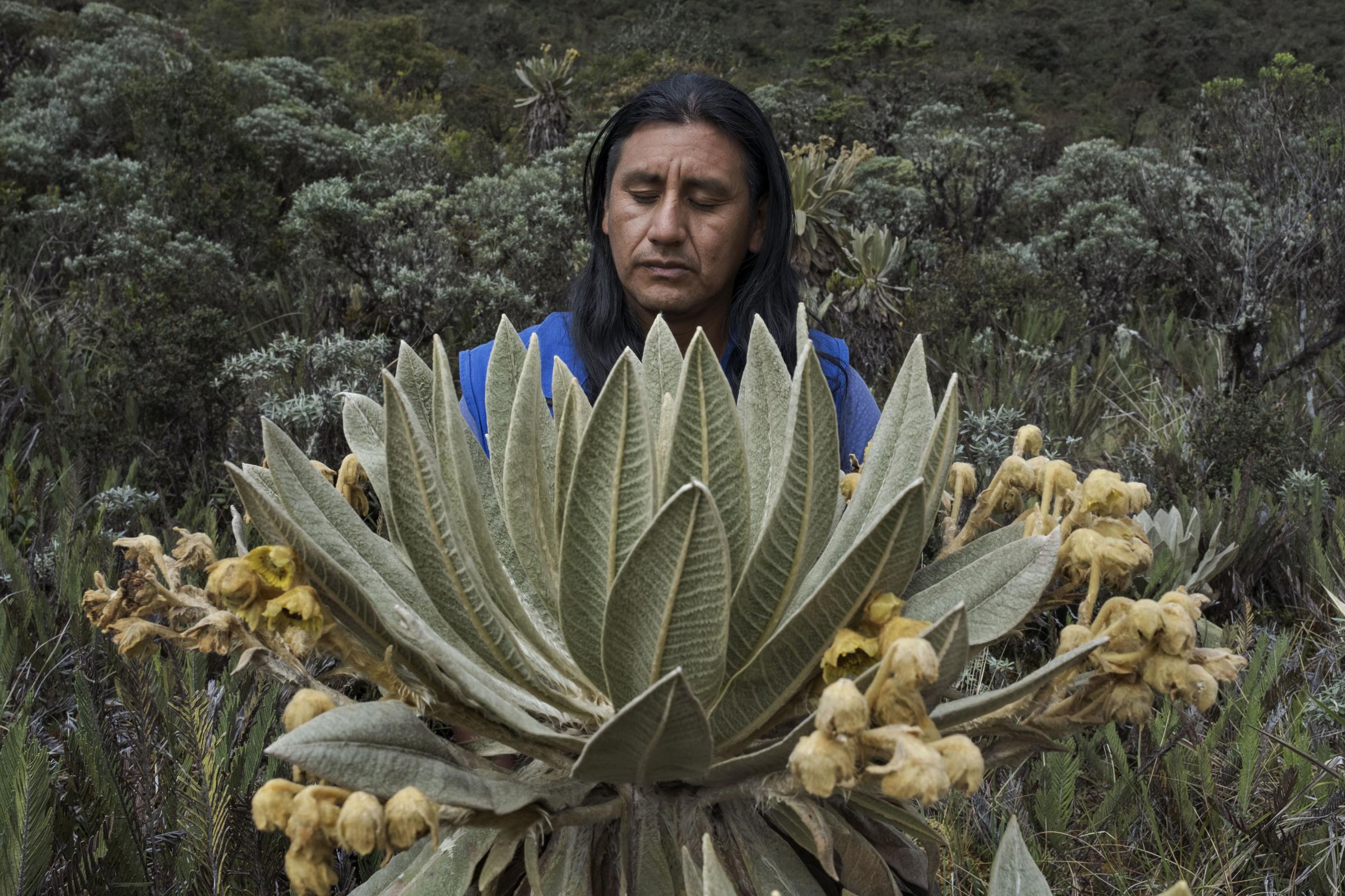 Colombian Guardians - El paramo, Cauca, Colombia 2021. Portrait of Fanor Mulcué...