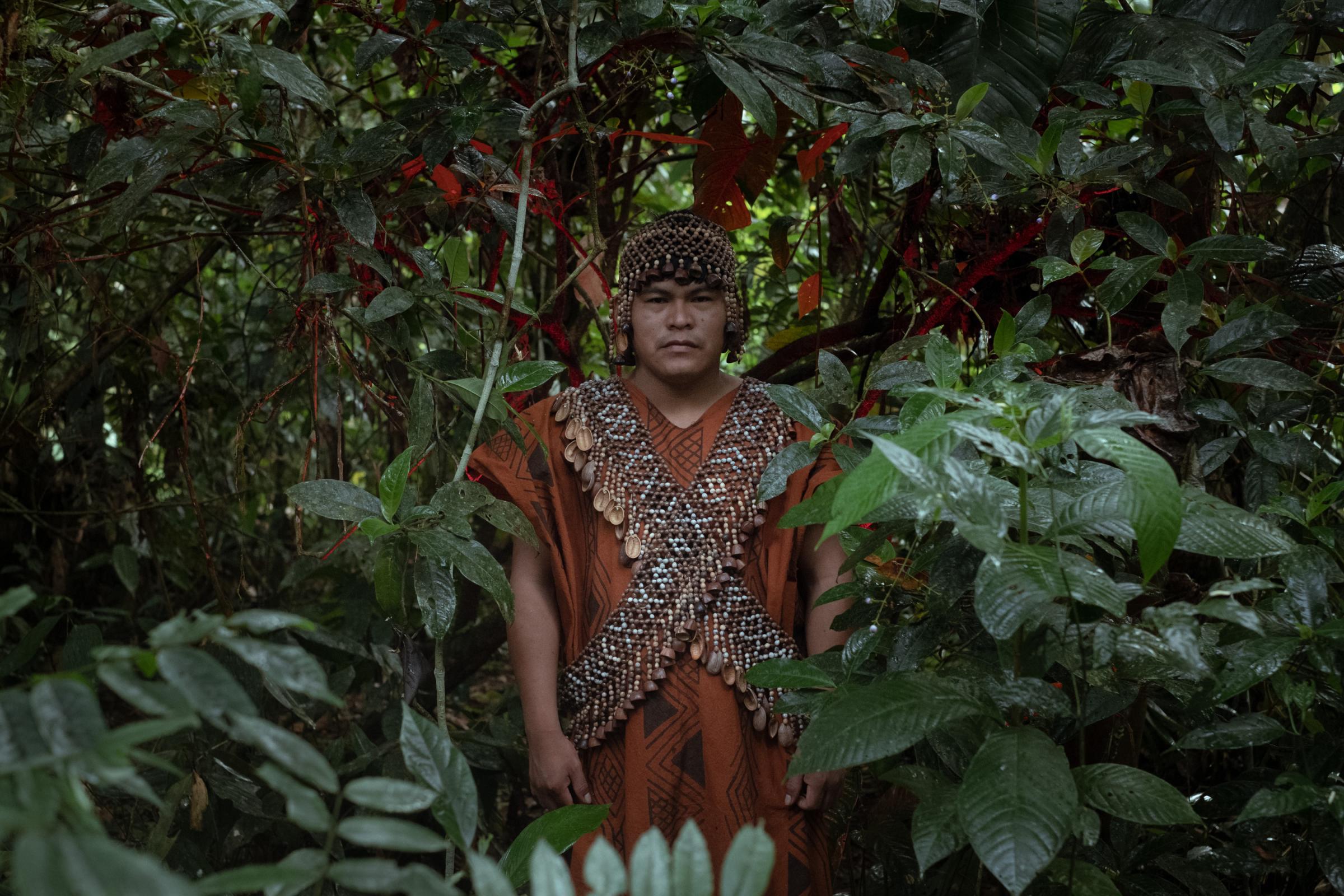 Kakataibo, voices from the forest - Portrait of Herlin Odicio, a social and environmental...