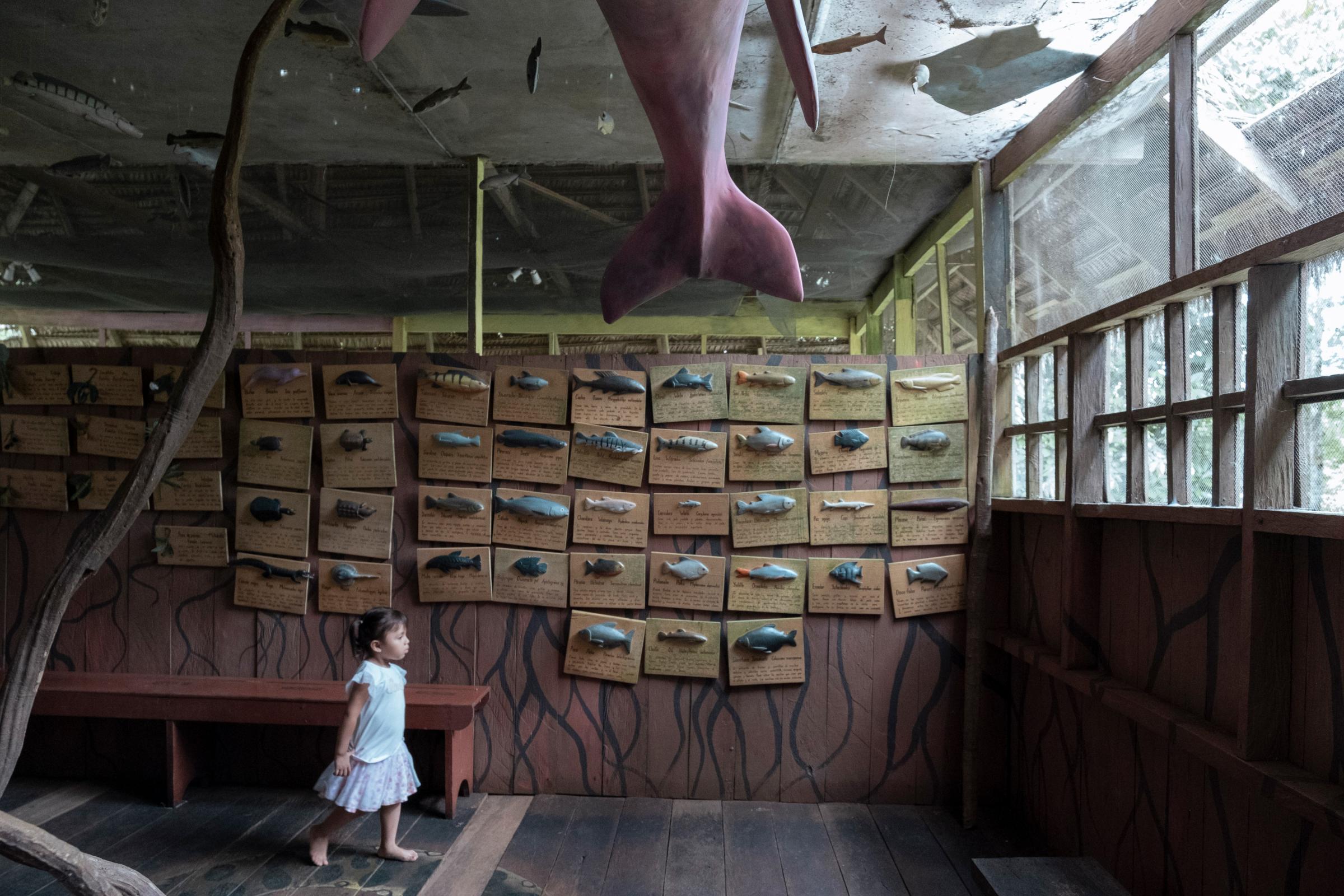 Omacha, the Pink Dolphin - A girl walks inside the small museum of the NGO Omacha,...