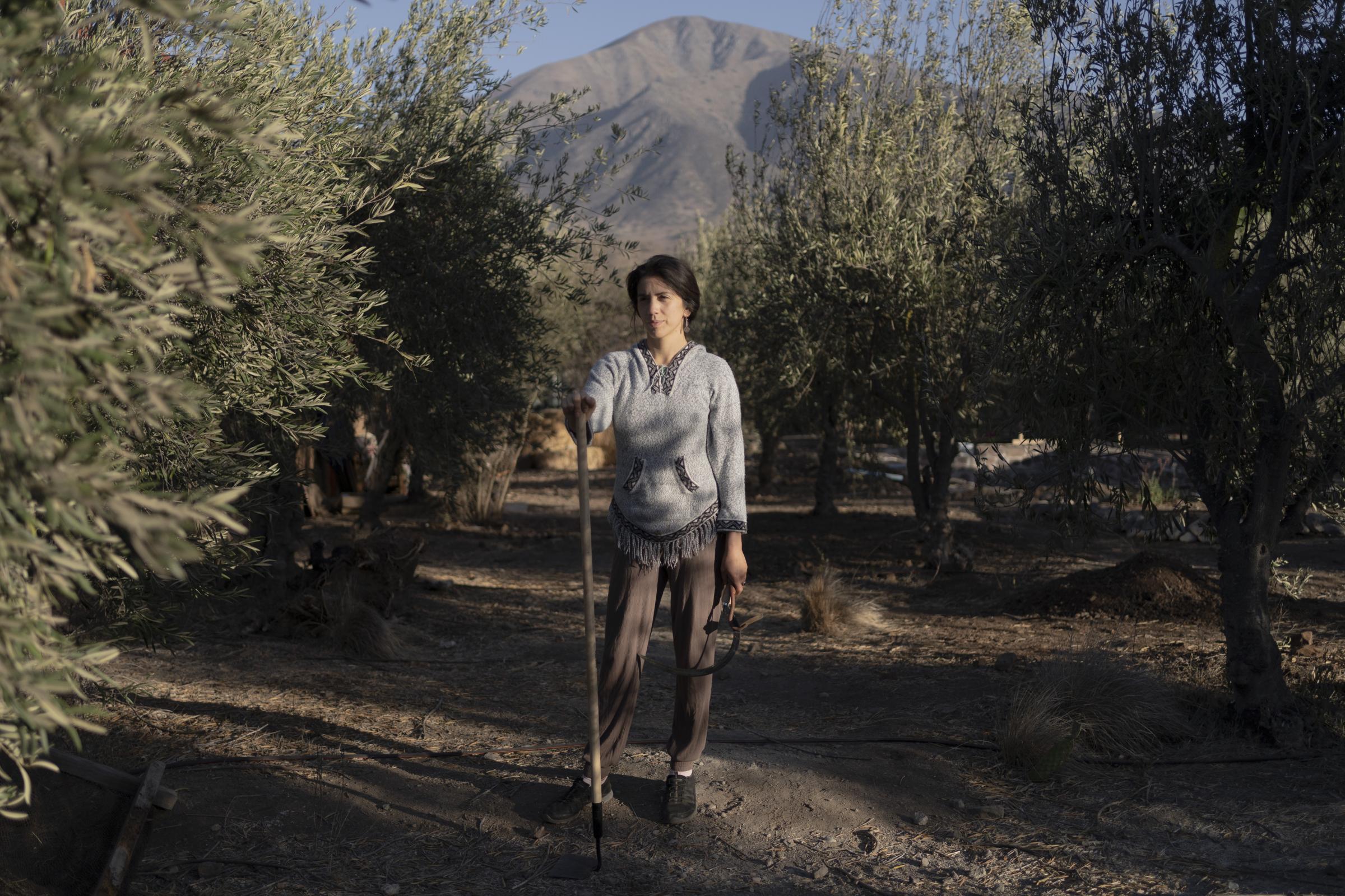 Where the devil died of thirst (Ongoing) - Marileu Avendaño, agroecologist and ecofeminist...
