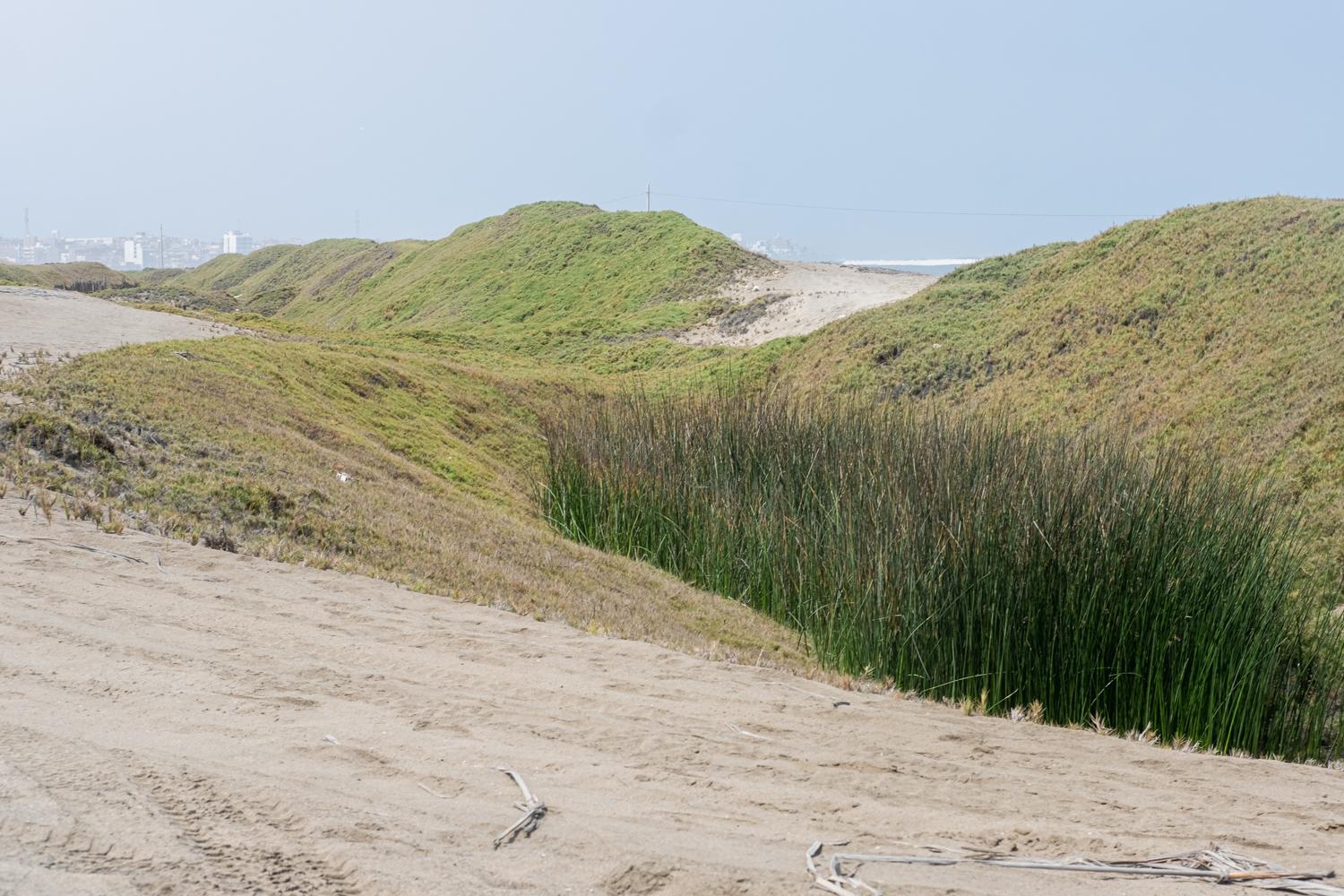 Northern Peru: Huanchaco and Chicama