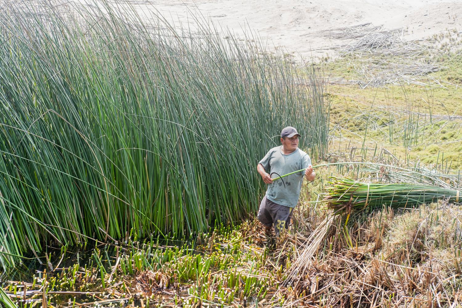 Northern Peru: Huanchaco and Chicama