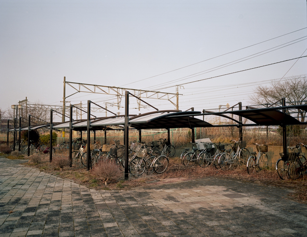 Life within 90 km -  Abandoned bicycles remain as they were left on 3.11.11...