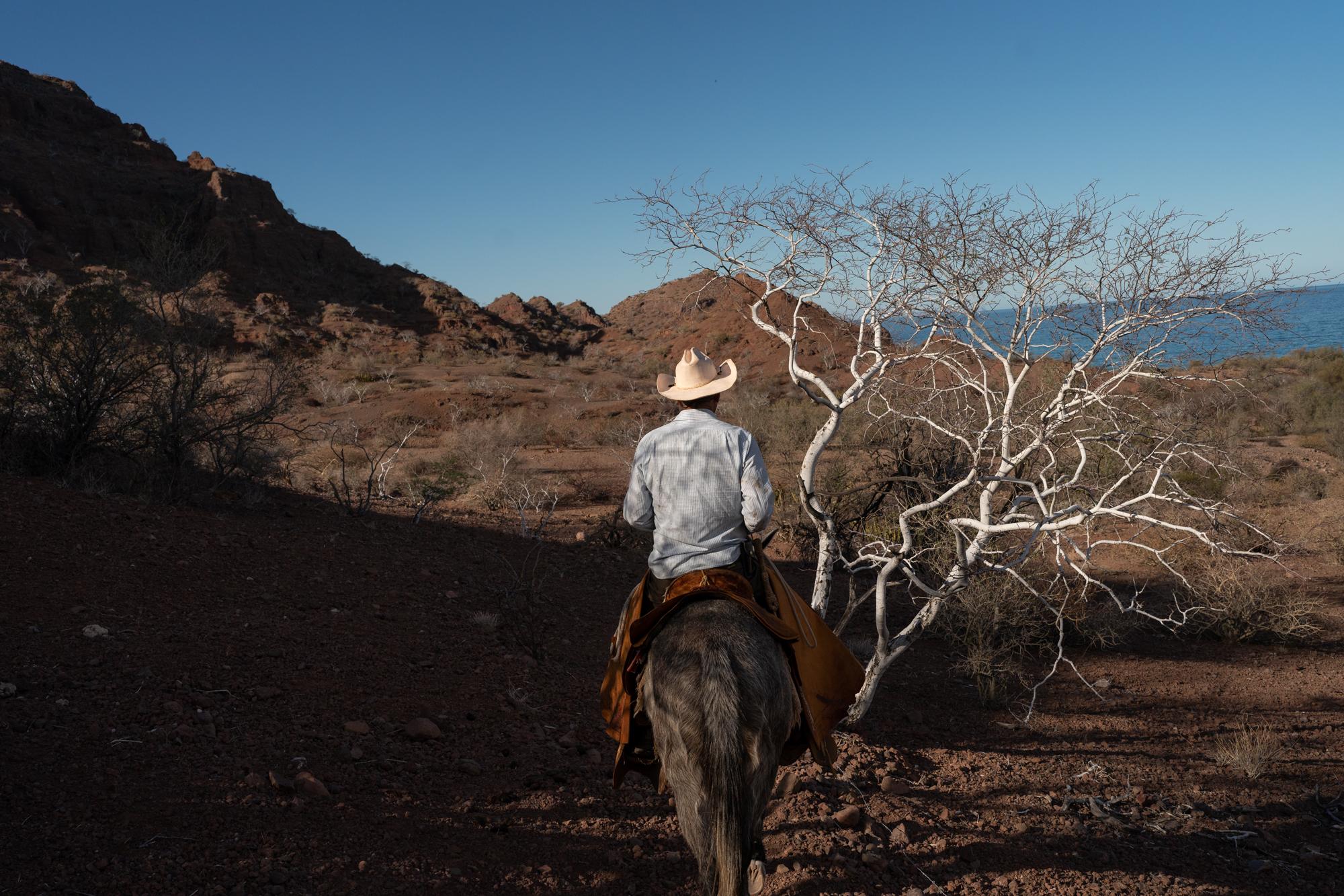 Until We Are Gone  - Alejo Romero rides a horse through his ranch, San Cosme,...