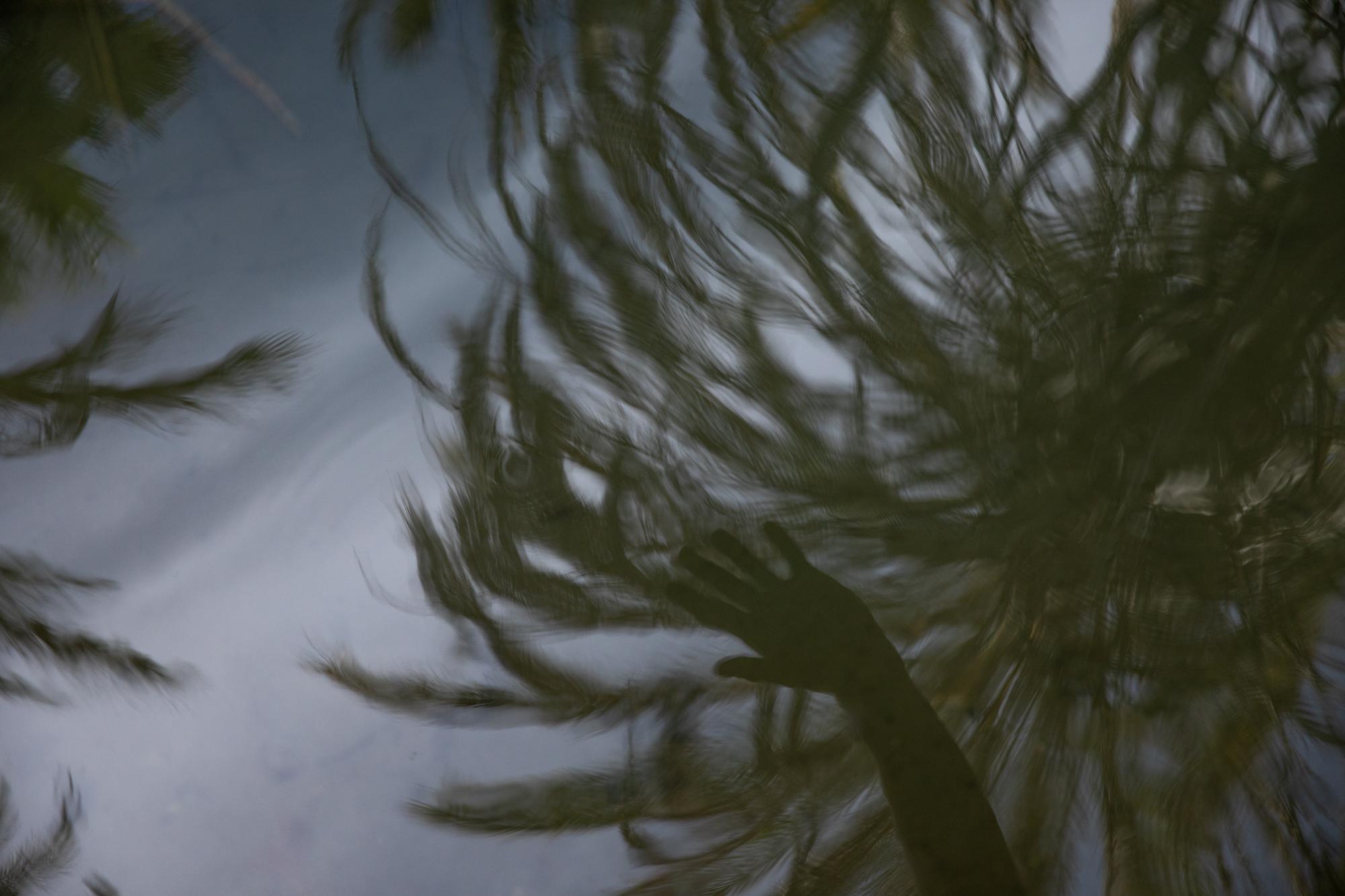 Until We Are Gone  - A reflection of Enrique's hand, San Jose de Gracia,...