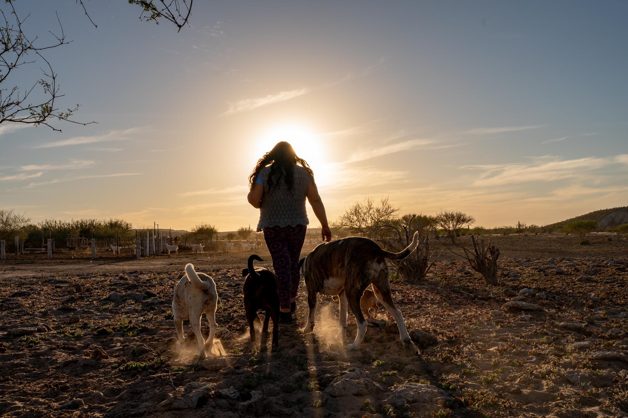 Until We Are Gone  - Joli walks in her ranch in San Juanico, Baja California,...