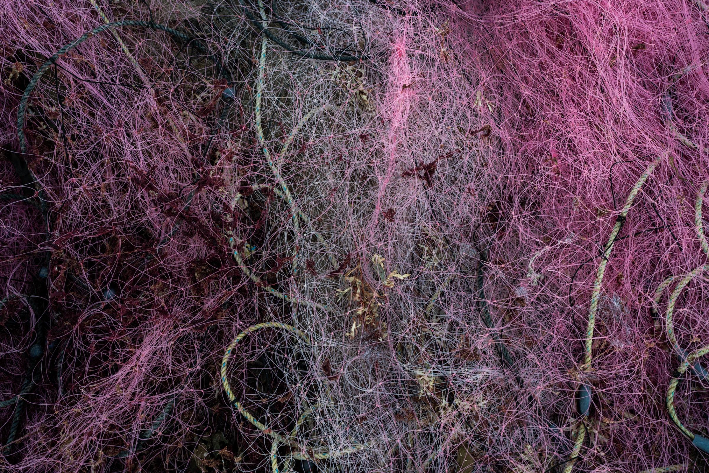 Wider project Until We Are Gone - An empty net lays on the beach, San Juanico, Baja...